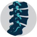 COLUNA VERTEBRAL