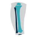 ORTOPEDIATRIA